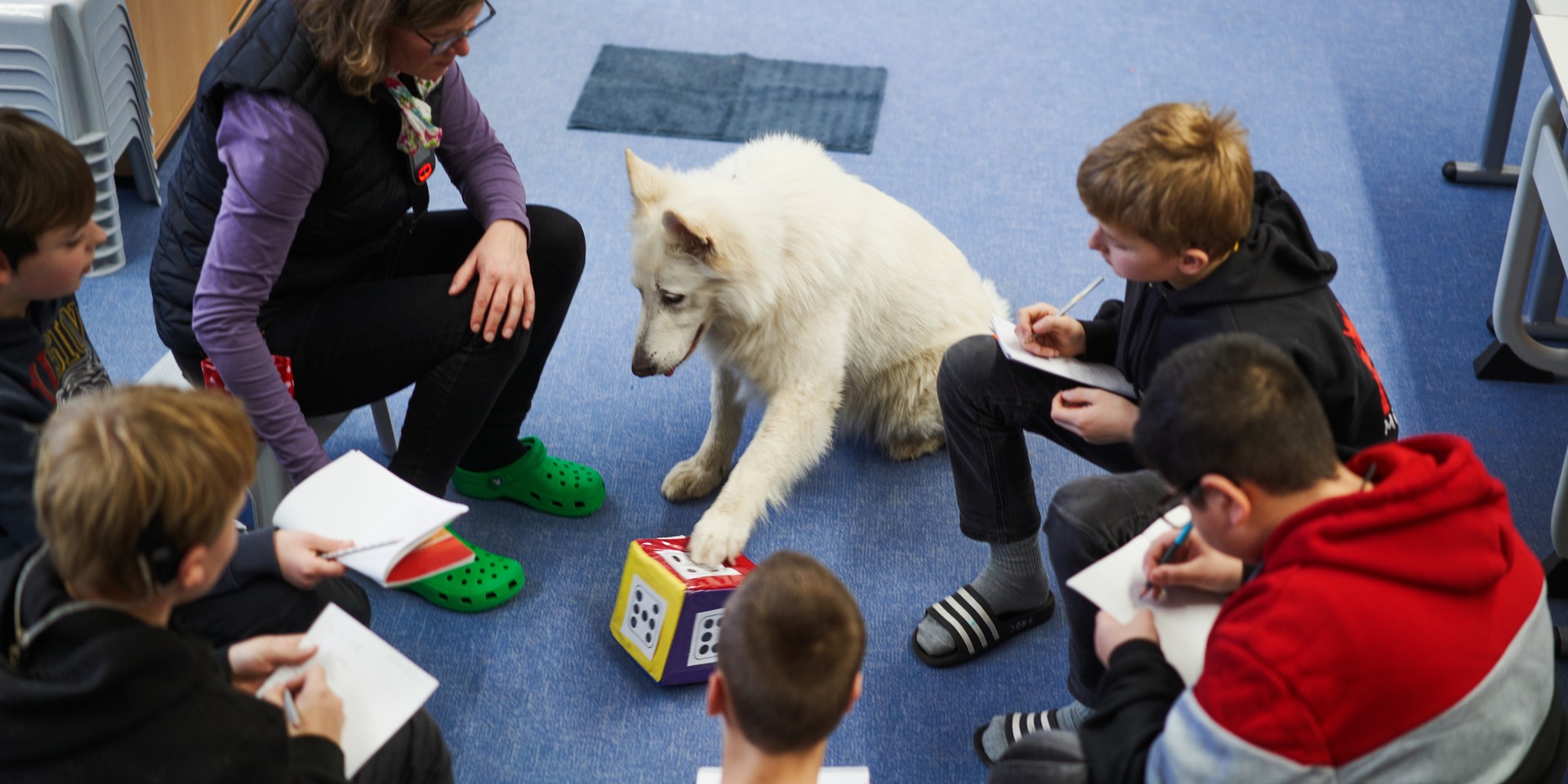 Bild zeigt einen Therapiehund im Sitzkreis.