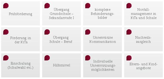 Grafik: Information, Beratung und Unterstützung